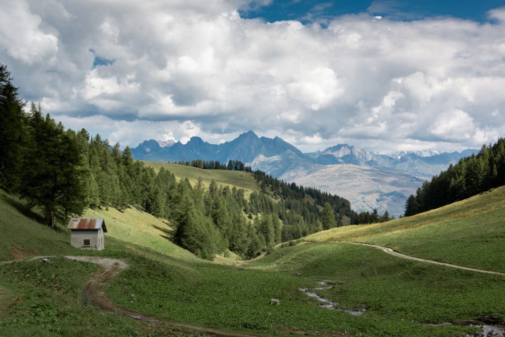 Montagne été